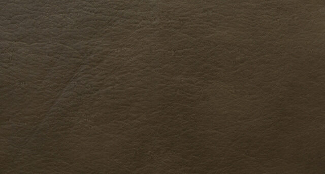 Fabric BRAVO 13