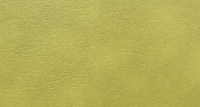 Fabric BRAVO 16