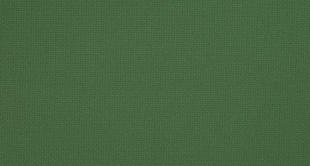 Fabric CARBONI CAMUT 9