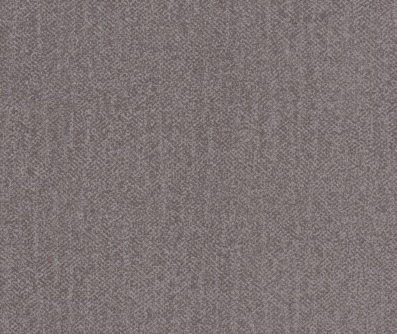 Fabric Discovery 232