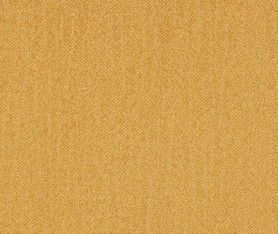 Fabric Discovery 560