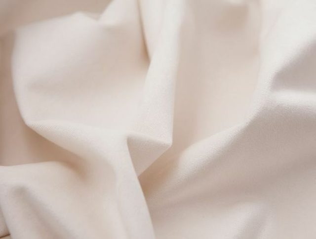 Fabric Evita 2
