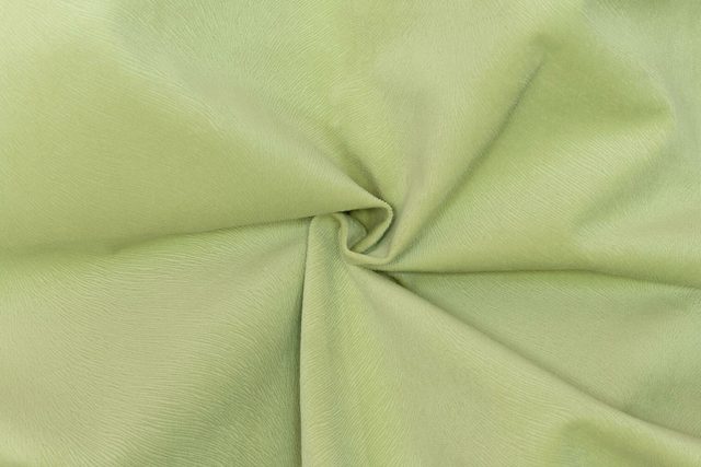 Fabric Forest 728 (pistachio)