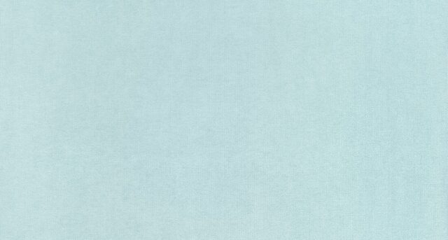 Fabric MISS 16