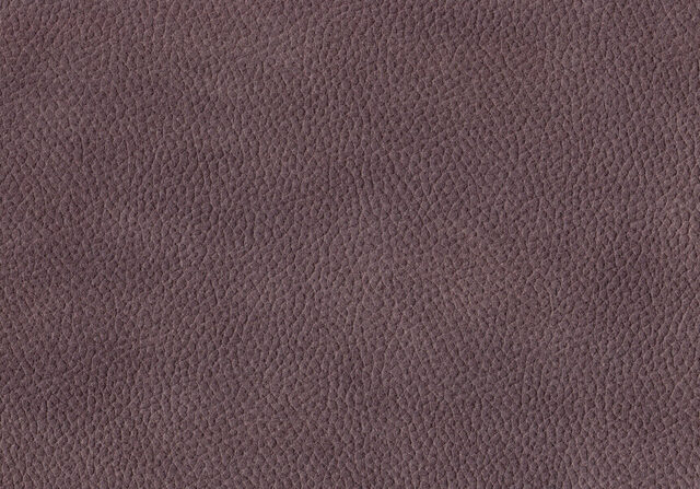 Fabric MONTANA 06