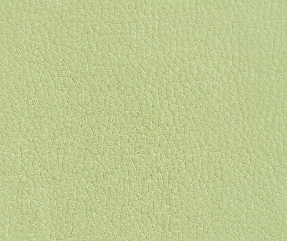 Fabric Oregon 33