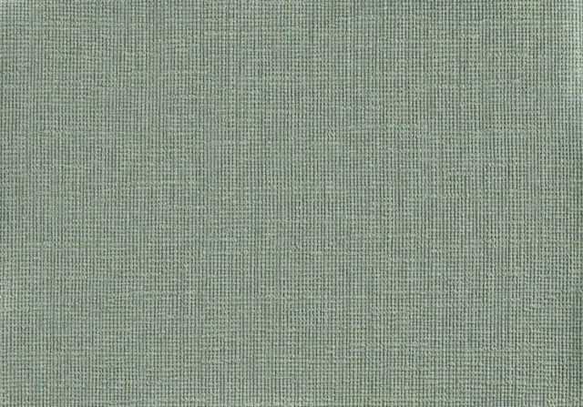 Fabric STEPPA 1805