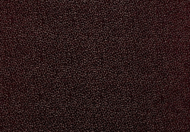 Fabric TORTUGA 12