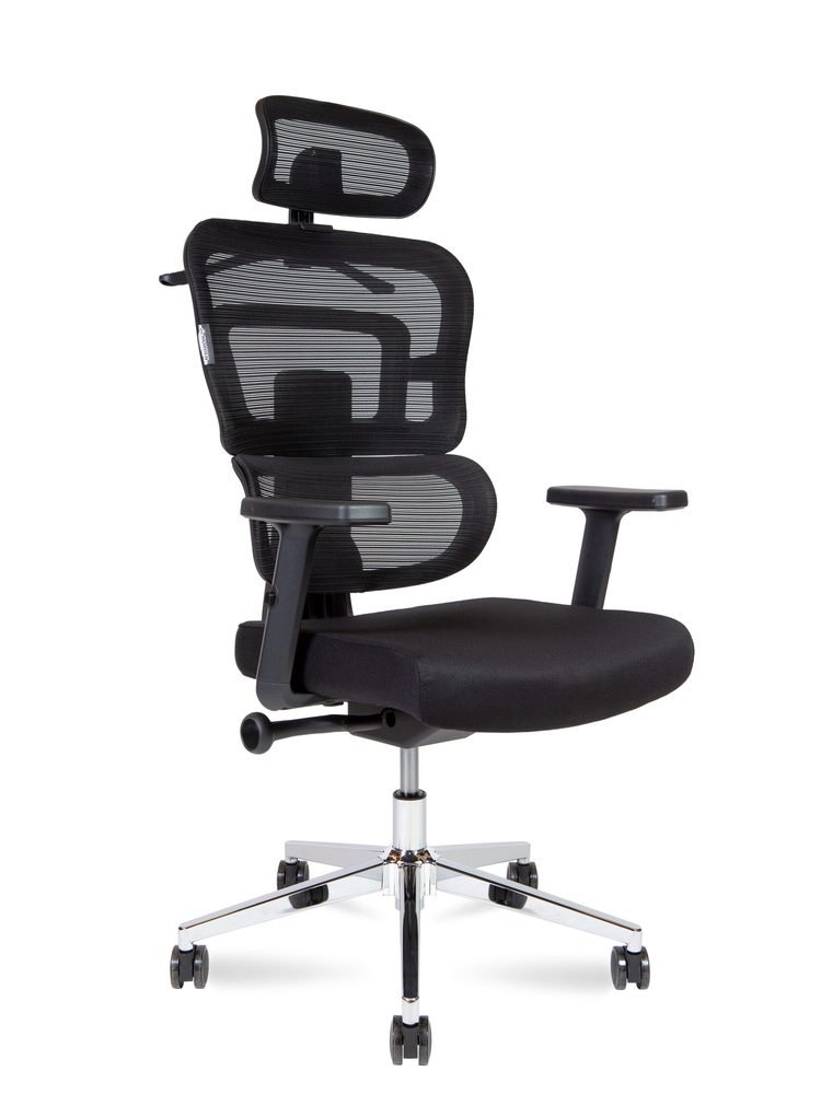 Ergo Office Chair
