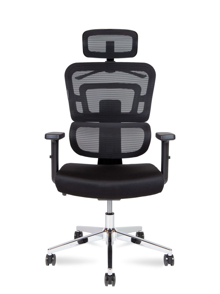 Ergo Office Chair — photo 2