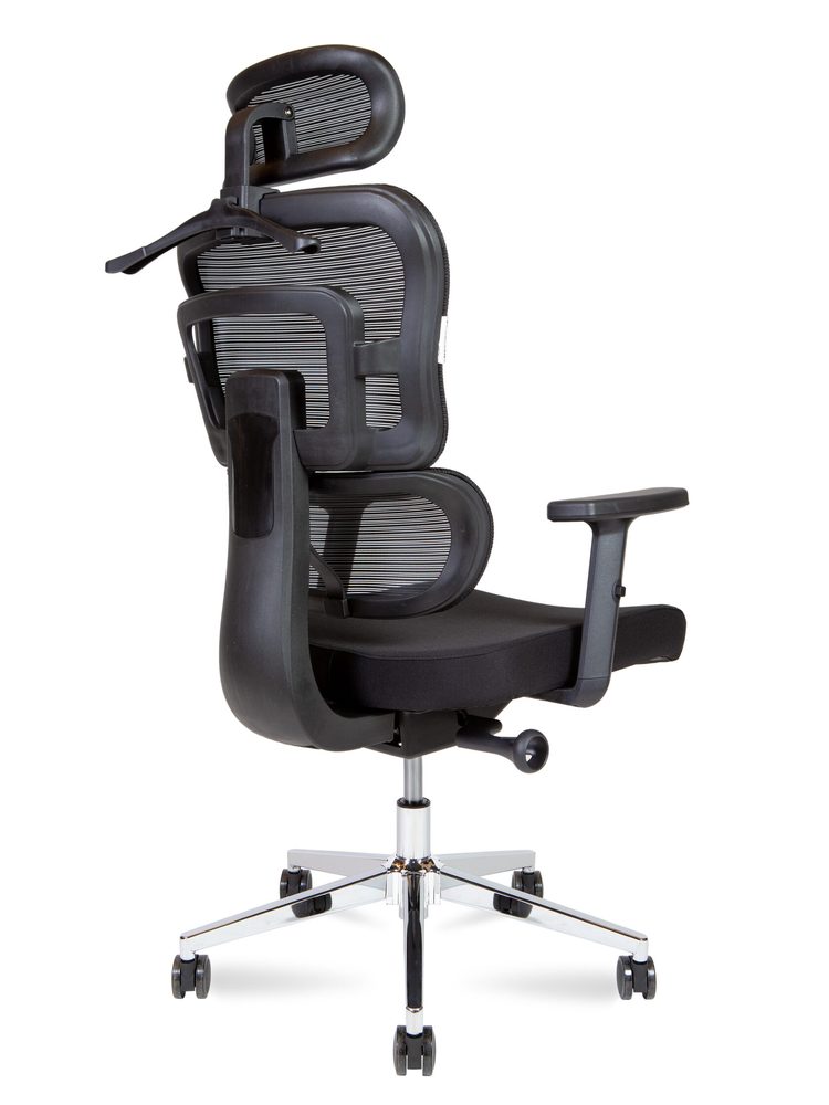 Ergo Office Chair — photo 4