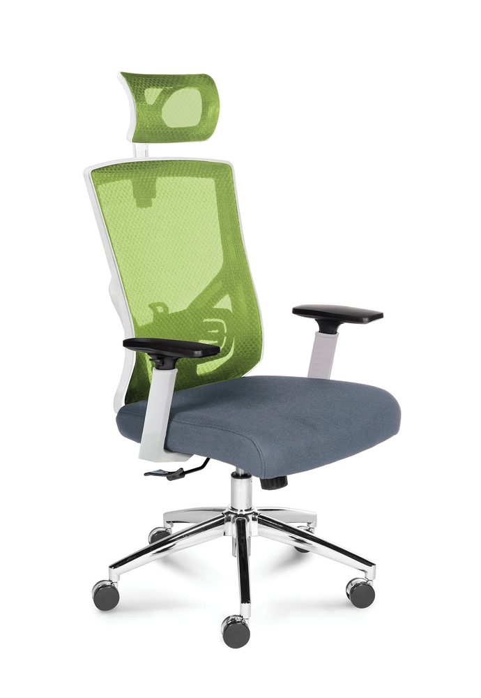 Garda Office Chair (green)